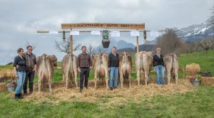 ZF Wagor OVITA Vogler Peter Fleli-Ranft A79